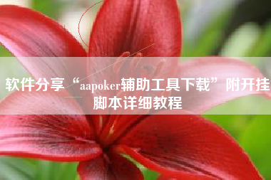 软件分享“aapoker辅助工具下载”附开挂脚本详细教程