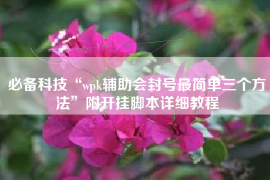 必备科技“wpk辅助会封号最简单三个方法”附开挂脚本详细教程