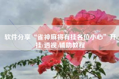软件分享“雀神麻将有挂各位小心	”开挂(透视)辅助教程