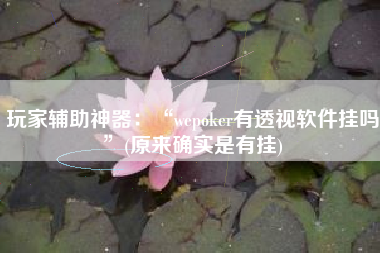 玩家辅助神器：“wepoker有透视软件挂吗	”(原来确实是有挂)