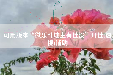 可用版本“微乐斗地主有挂没	”开挂(透视)辅助