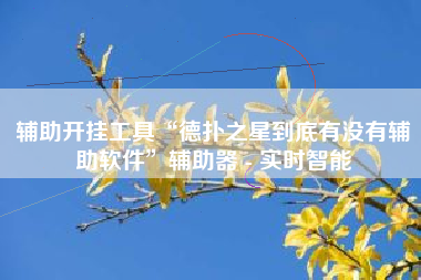 辅助开挂工具“德扑之星到底有没有辅助软件	”辅助器 - 实时智能
