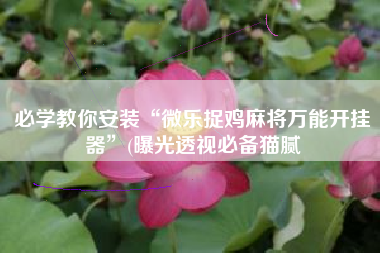 必学教你安装“微乐捉鸡麻将万能开挂器”(曝光透视必备猫腻