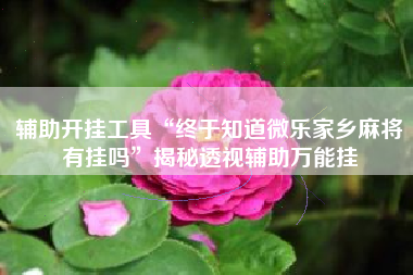 辅助开挂工具“终于知道微乐家乡麻将有挂吗	”揭秘透视辅助万能挂