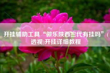 开挂辅助工具“微乐陕西三代有挂吗”(透视)开挂详细教程