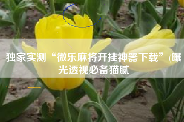 独家实测“微乐麻将开挂神器下载”(曝光透视必备猫腻