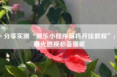 分享实测“微乐小程序麻将开挂教程”(曝光透视必备猫腻