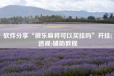 软件分享“微乐麻将可以买挂吗”开挂(透视)辅助教程