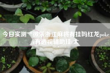 今日实测“微乐浙江麻将有挂吗红龙poker有透视辅助挂(太