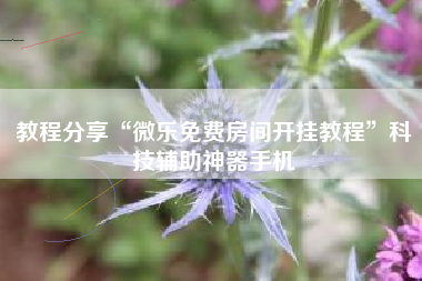 教程分享“微乐免费房间开挂教程”科技辅助神器手机