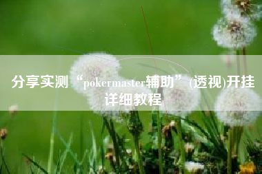 分享实测“pokermaster辅助	”(透视)开挂详细教程