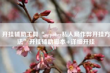 开挂辅助工具“wepoker私人局作弊开挂方法	”开挂辅助脚本+详细开挂