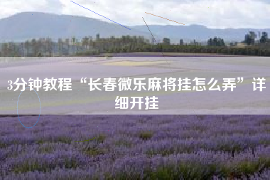 3分钟教程“长春微乐麻将挂怎么弄”详细开挂