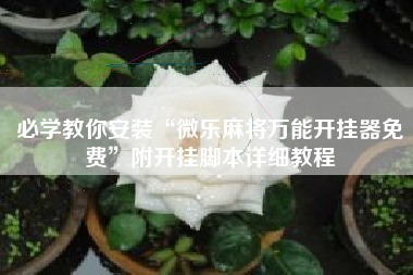 必学教你安装“微乐麻将万能开挂器免费”附开挂脚本详细教程