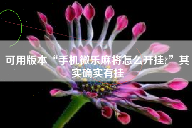 可用版本“手机微乐麻将怎么开挂?	”其实确实有挂