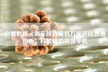 必看教程“微乐陕西麻将万能开挂器通用版”科技辅助神器手机