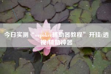 今日实测“wepoker辅助器教程”开挂(透视)辅助神器