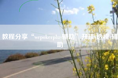 教程分享“wepokerplus辅助”开挂(透视)辅助