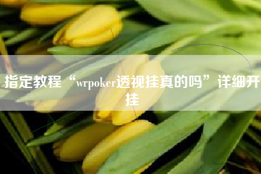 指定教程“wrpoker透视挂真的吗	”详细开挂