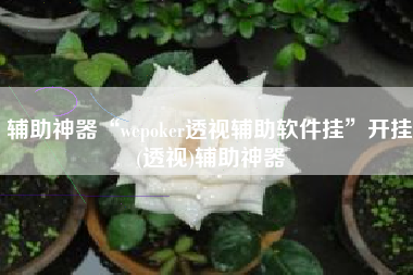 辅助神器“wepoker透视辅助软件挂	”开挂(透视)辅助神器