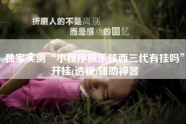 独家实测“小程序微乐陕西三代有挂吗”开挂(透视)辅助神器