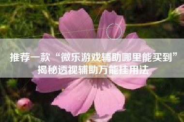 推荐一款“微乐游戏辅助哪里能买到	”揭秘透视辅助万能挂用法