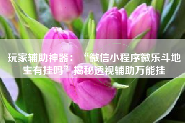 玩家辅助神器：“微信小程序微乐斗地主有挂吗	”揭秘透视辅助万能挂