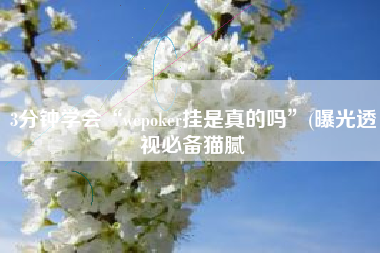 3分钟学会“wepoker挂是真的吗”(曝光透视必备猫腻