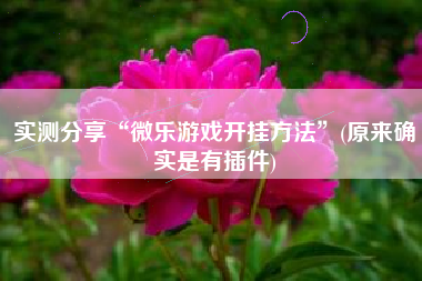 实测分享“微乐游戏开挂方法	”(原来确实是有插件)