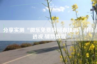 分享实测“微乐免费房间有挂吗	”开挂(透视)辅助教程