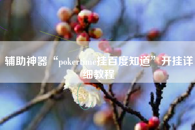 辅助神器“pokertime挂百度知道	”开挂详细教程