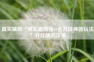 真实辅助“微乐跑得快16张开挂神器玩法	”开挂辅助详细