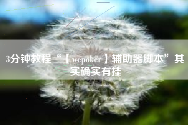 3分钟教程“【wepoker】辅助器脚本”其实确实有挂