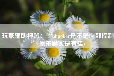 玩家辅助神器：“hhpoker是不是内部控制”(原来确实是有挂)