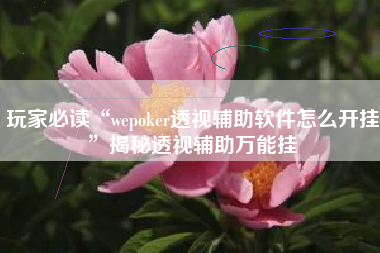 玩家必读“wepoker透视辅助软件怎么开挂”揭秘透视辅助万能挂