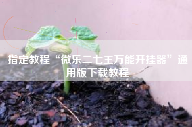指定教程“微乐二七王万能开挂器	”通用版下载教程