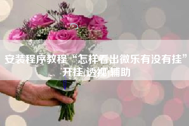 安装程序教程“怎样看出微乐有没有挂”开挂(透视)辅助