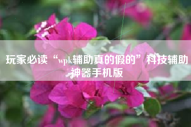 玩家必读“wpk辅助真的假的”科技辅助神器手机版