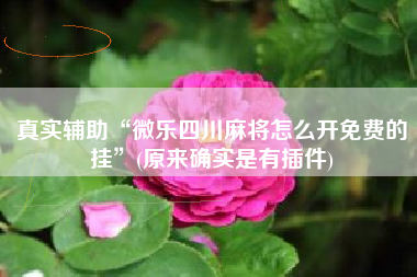 真实辅助“微乐四川麻将怎么开免费的挂	”(原来确实是有插件)