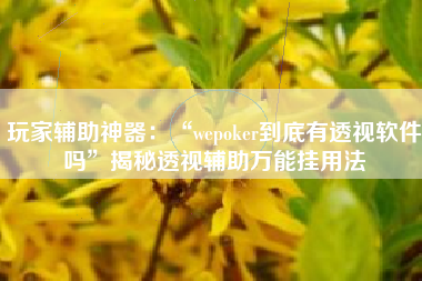 玩家辅助神器：“wepoker到底有透视软件吗”揭秘透视辅助万能挂用法