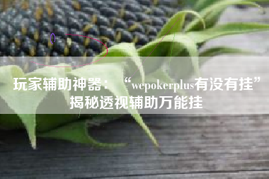 玩家辅助神器：“wepokerplus有没有挂	”揭秘透视辅助万能挂