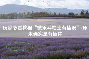 玩家必看教程“微乐斗地主有挂没	”(原来确实是有插件