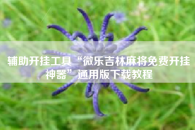 辅助开挂工具“微乐吉林麻将免费开挂神器”通用版下载教程