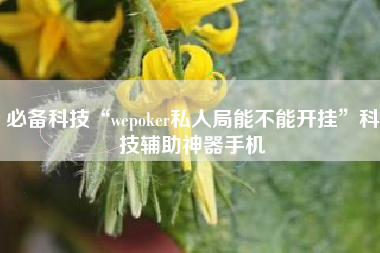 必备科技“wepoker私人局能不能开挂	”科技辅助神器手机
