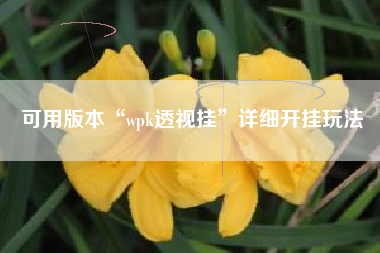 可用版本“wpk透视挂	”详细开挂玩法