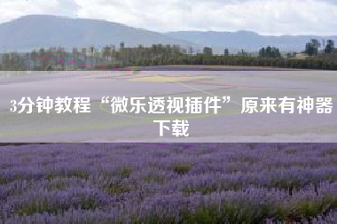 3分钟教程“微乐透视插件”原来有神器下载