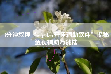 3分钟教程“wepoker开挂辅助软件	”揭秘透视辅助万能挂